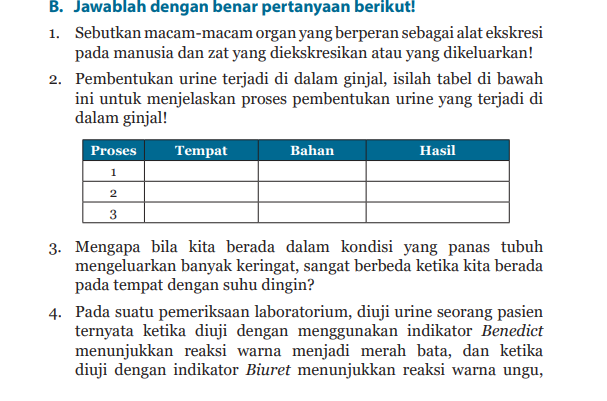 Detail Kunci Jawaban Buku Paket Ipa Kelas 8 Semester 1 Nomer 24