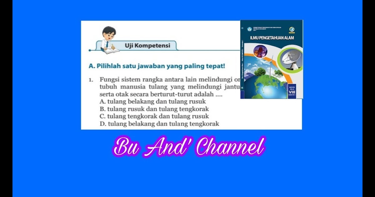 Detail Kunci Jawaban Buku Paket Ipa Kelas 8 Semester 1 Nomer 41