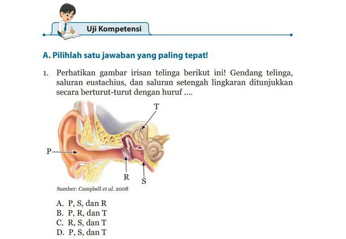 Detail Kunci Jawaban Buku Paket Ipa Kelas 8 Semester 1 Nomer 55