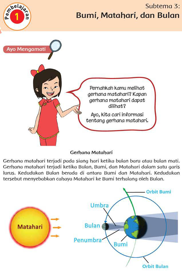 Detail Kunci Jawaban Buku Smart Kelas 6 2019 2020 Nomer 30