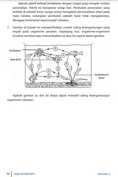 Detail Kunci Jawaban Buku Smp Kelas 7 Nomer 47