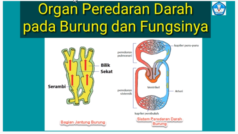 Detail Kunci Jawaban Buku Tema 4 Kelas 5 Nomer 47