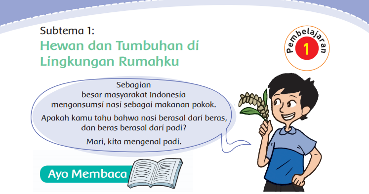 Detail Kunci Jawaban Buku Tematik Kelas 4 Tema 1 Nomer 24