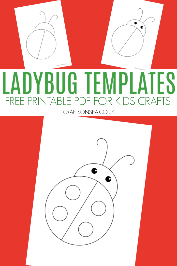 Detail Ladybug Template Without Spots Nomer 23