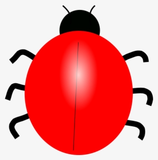 Detail Ladybug Template Without Spots Nomer 31