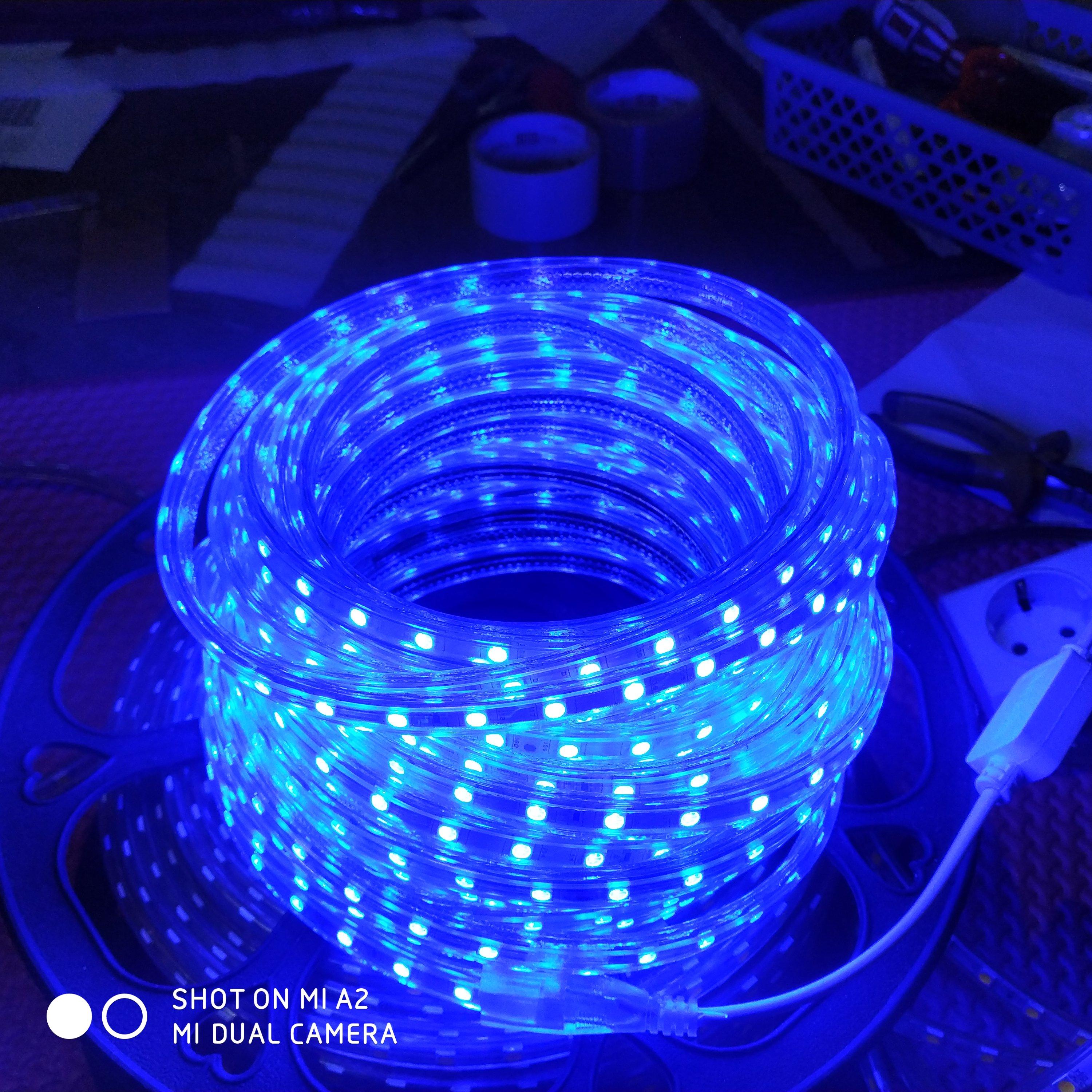 Detail Lampu Led Roll Untuk Plafon Nomer 40