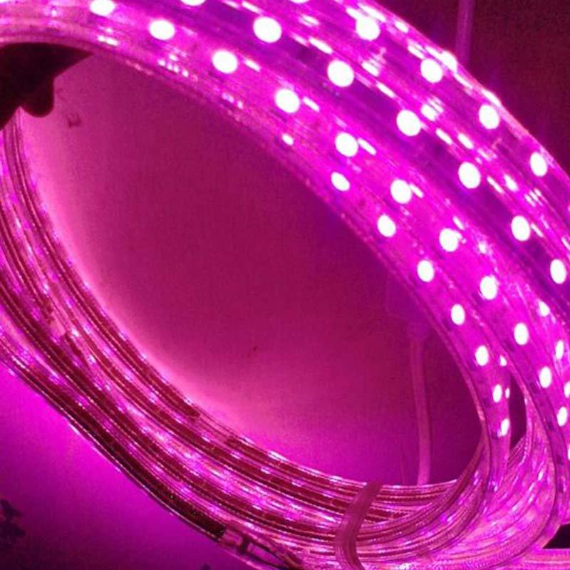 Detail Lampu Led Strip Untuk Plafon Rumah Nomer 46