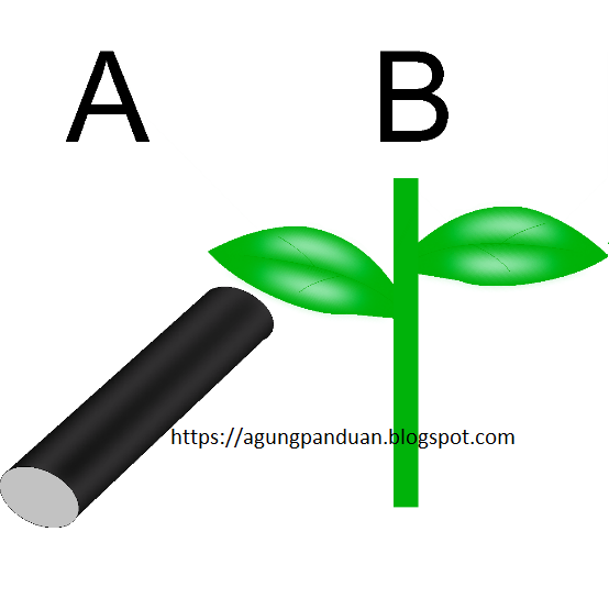 Detail Langkah Membuat Huruf Agar Sesuai Dengan Lekukan Gambar Pada Coreldraw Nomer 37