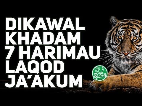 Detail Laqod Jaakum Surat Apa Nomer 48