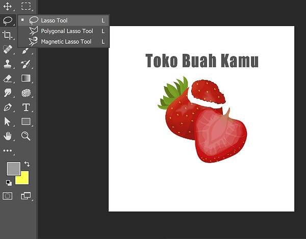 Detail Lasso Tool Digunakan Untuk Nomer 2