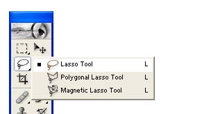 Detail Lasso Tool Digunakan Untuk Nomer 10