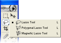 Detail Lasso Tool Digunakan Untuk Nomer 12