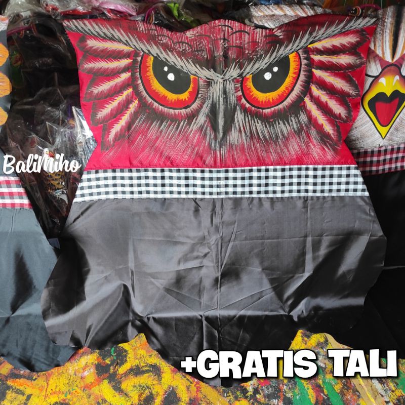 Detail Layangan Bapangan Burung Nomer 36