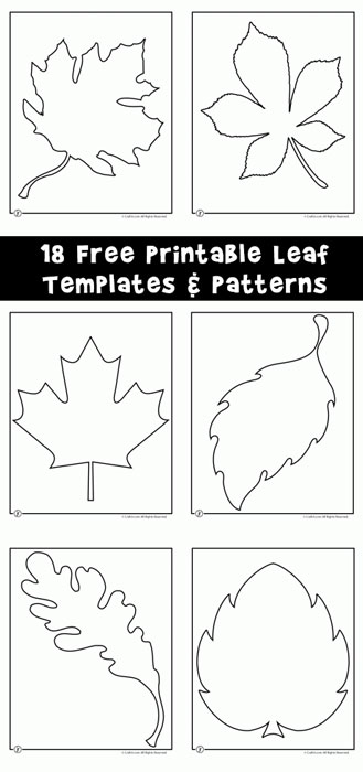 Detail Leaf Template With Lines Nomer 10