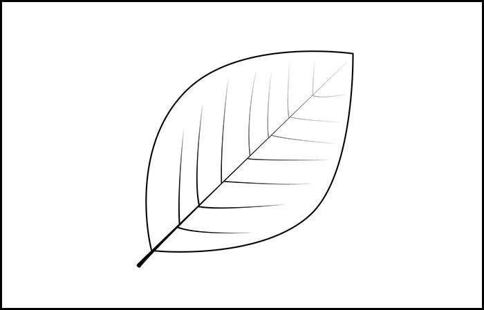 Detail Leaf Template With Lines Nomer 14