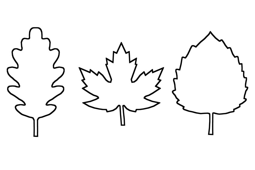 Detail Leaf Template With Lines Nomer 3