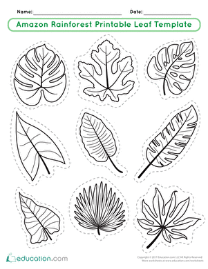 Detail Leaf Template With Lines Nomer 22