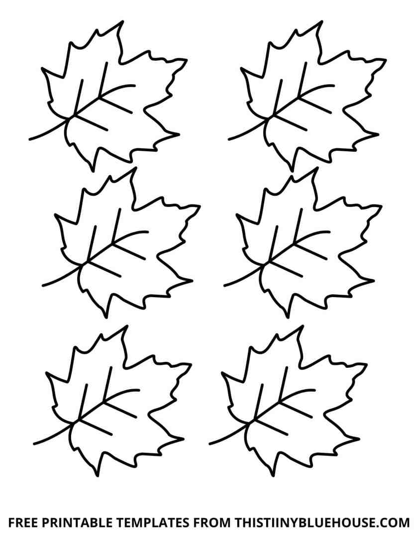 Detail Leaf Template With Lines Nomer 23