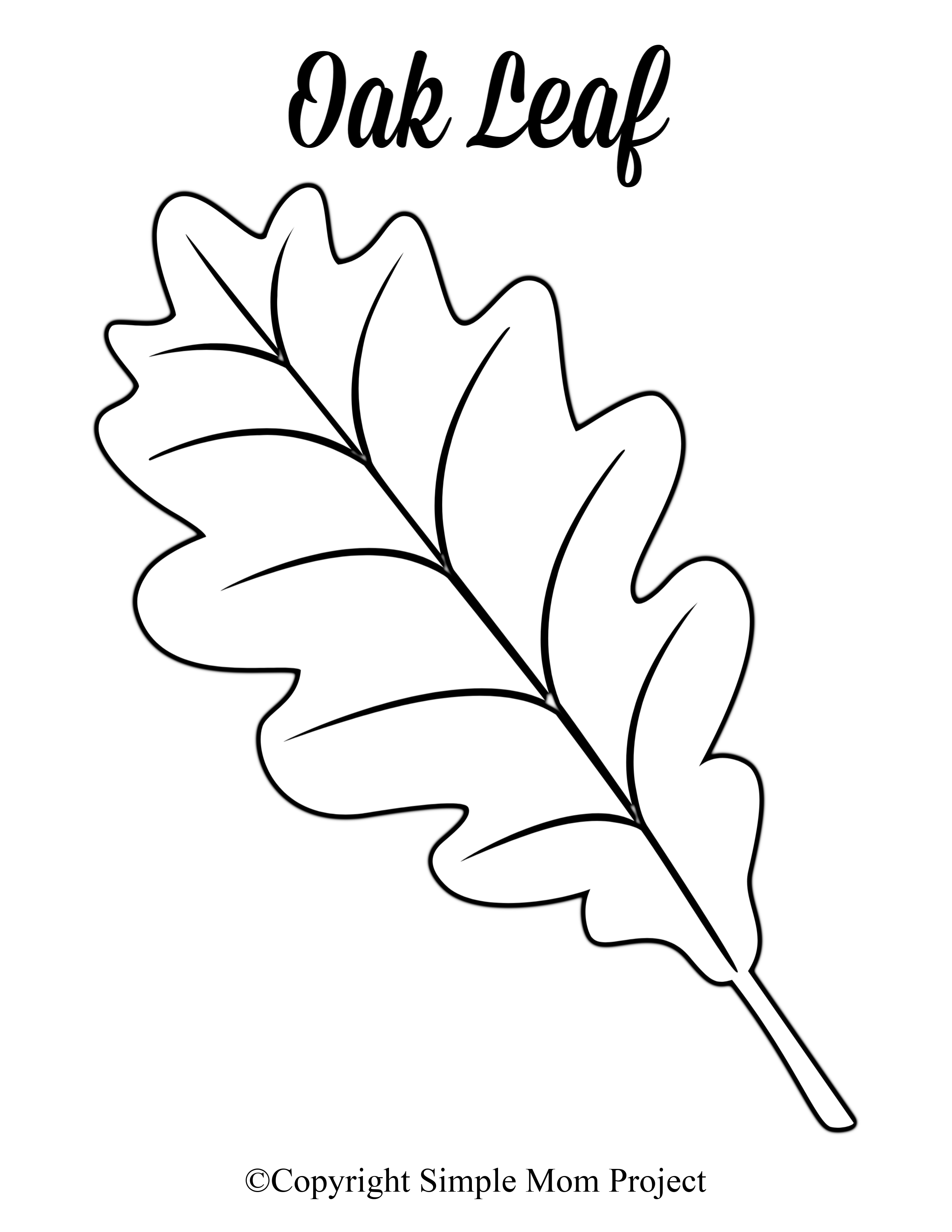 Detail Leaf Template With Lines Nomer 30