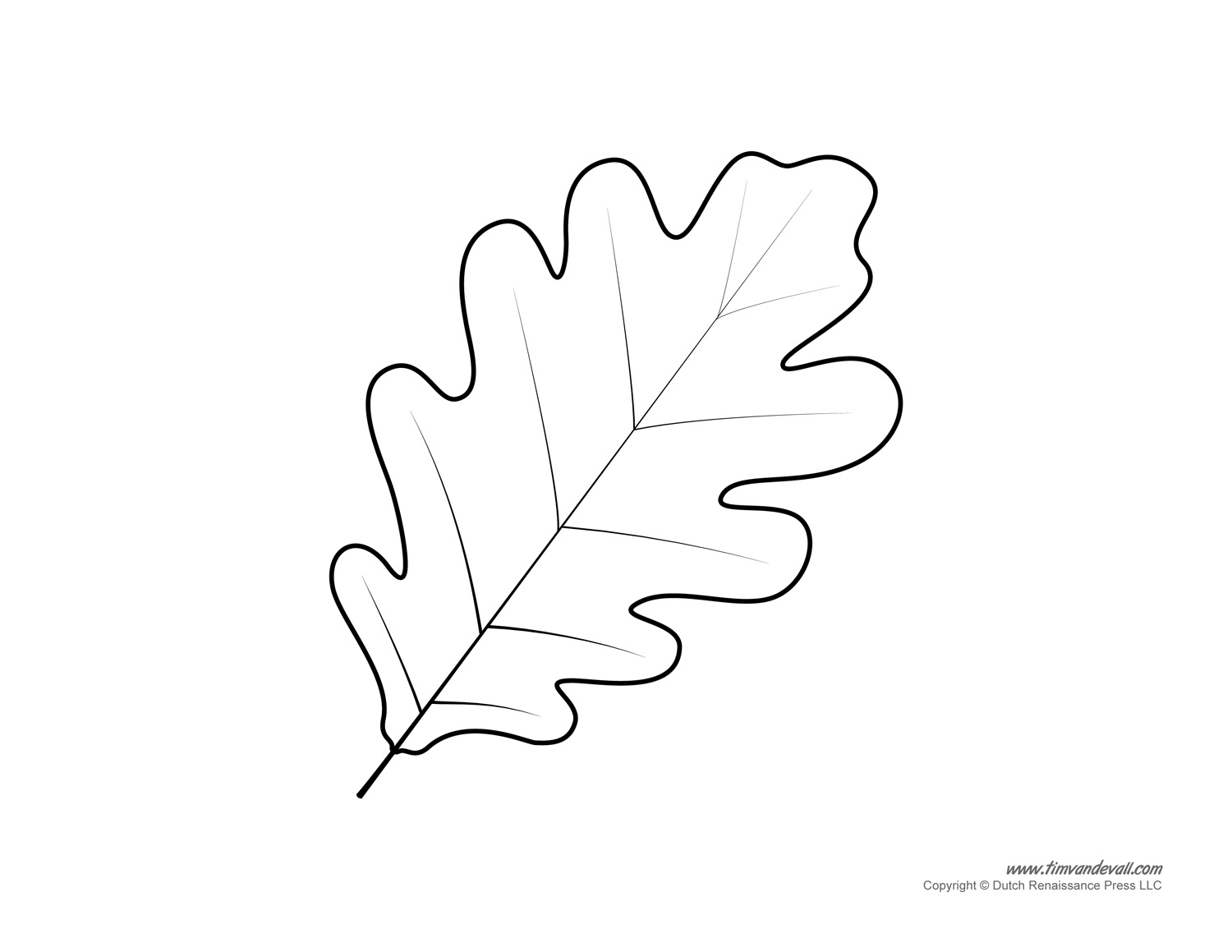 Detail Leaf Template With Lines Nomer 39