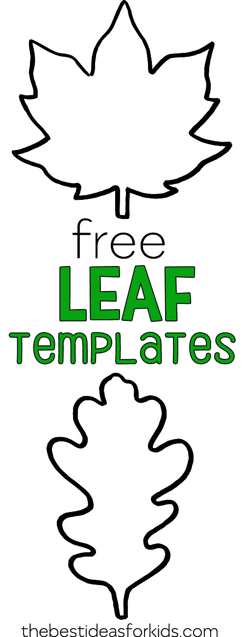 Detail Leaf Template With Lines Nomer 42