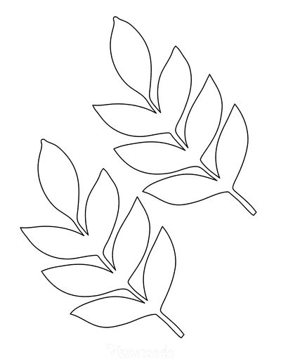 Detail Leaf Template With Lines Nomer 6