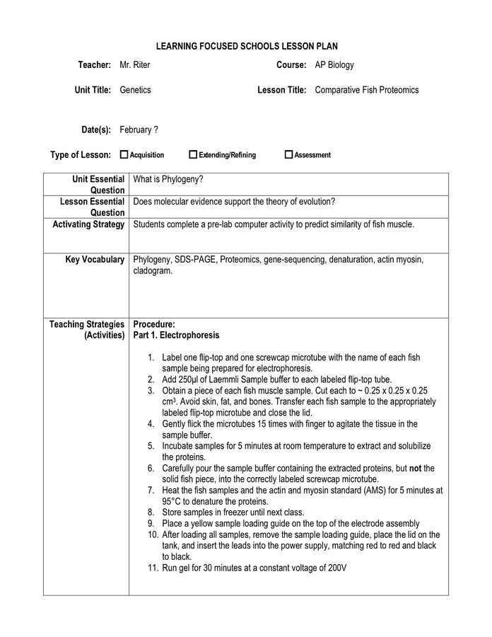 Detail Learning Focused Lesson Plan Template Nomer 7