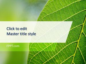 Detail Leaves Ppt Template Nomer 20