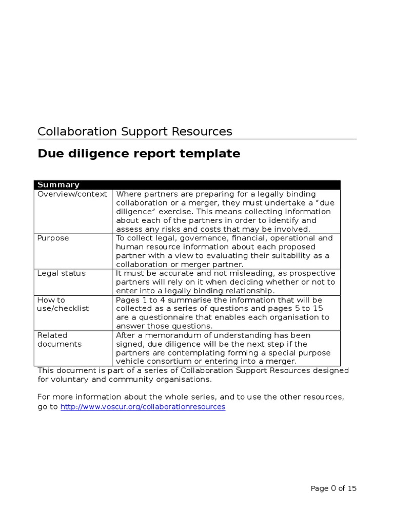 Detail Legal Report Template Nomer 52