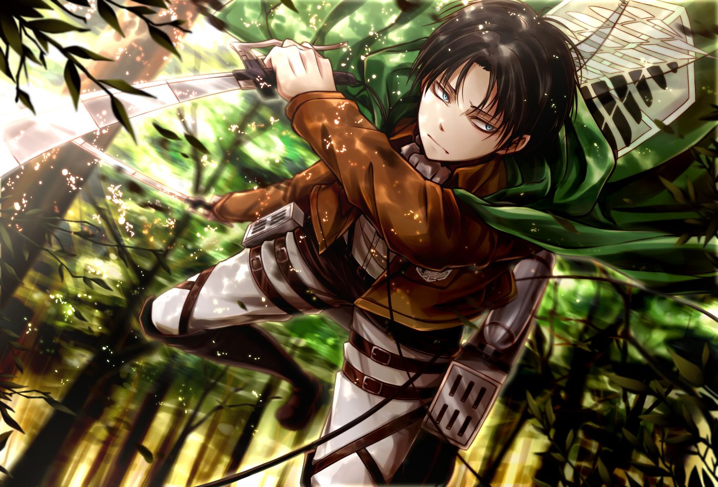 Detail Levi Attack On Titan Wallpaper Nomer 12