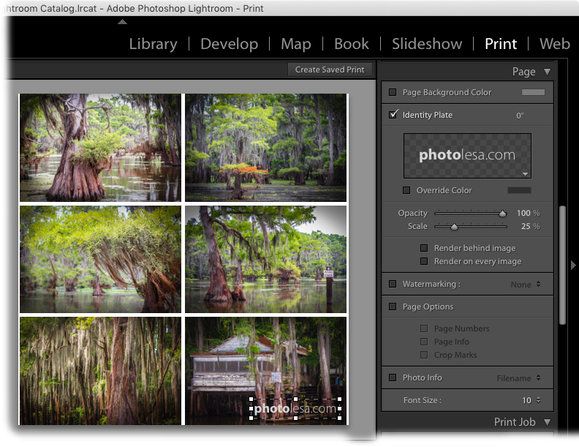 Detail Lightroom Identity Plate Template Nomer 28