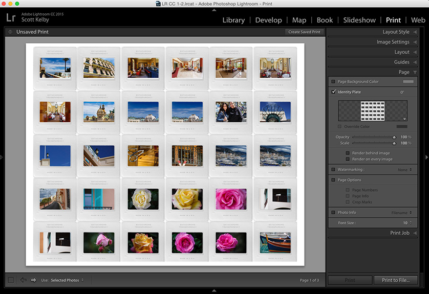 Detail Lightroom Identity Plate Template Nomer 30