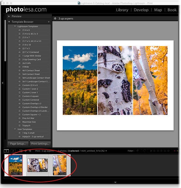 Detail Lightroom Identity Plate Template Nomer 10