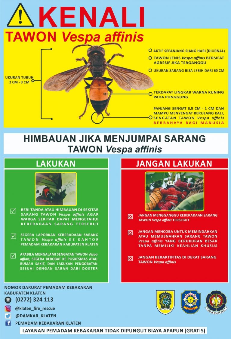 Detail Link Untuk Melihat Gambar Struktur Pada Obat Nomer 10