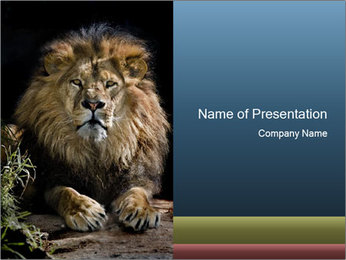 Detail Lion Presentation Template Nomer 14