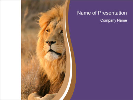 Detail Lion Presentation Template Nomer 18