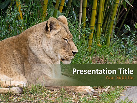 Detail Lion Presentation Template Nomer 30