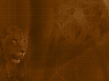 Detail Lion Presentation Template Nomer 7