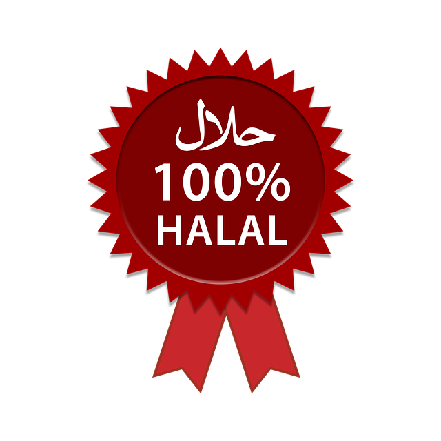 Logo 100 Persen Halal - KibrisPDR