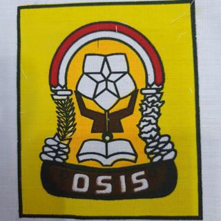 Detail Download Logo Osis Smp Nomer 51