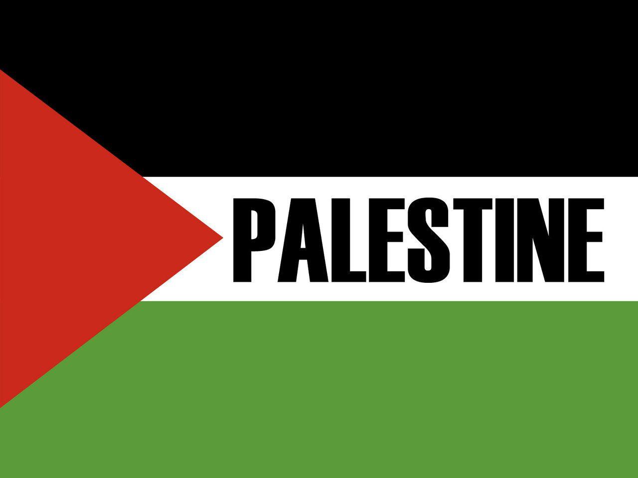 Detail Download Logo Palestina Nomer 51