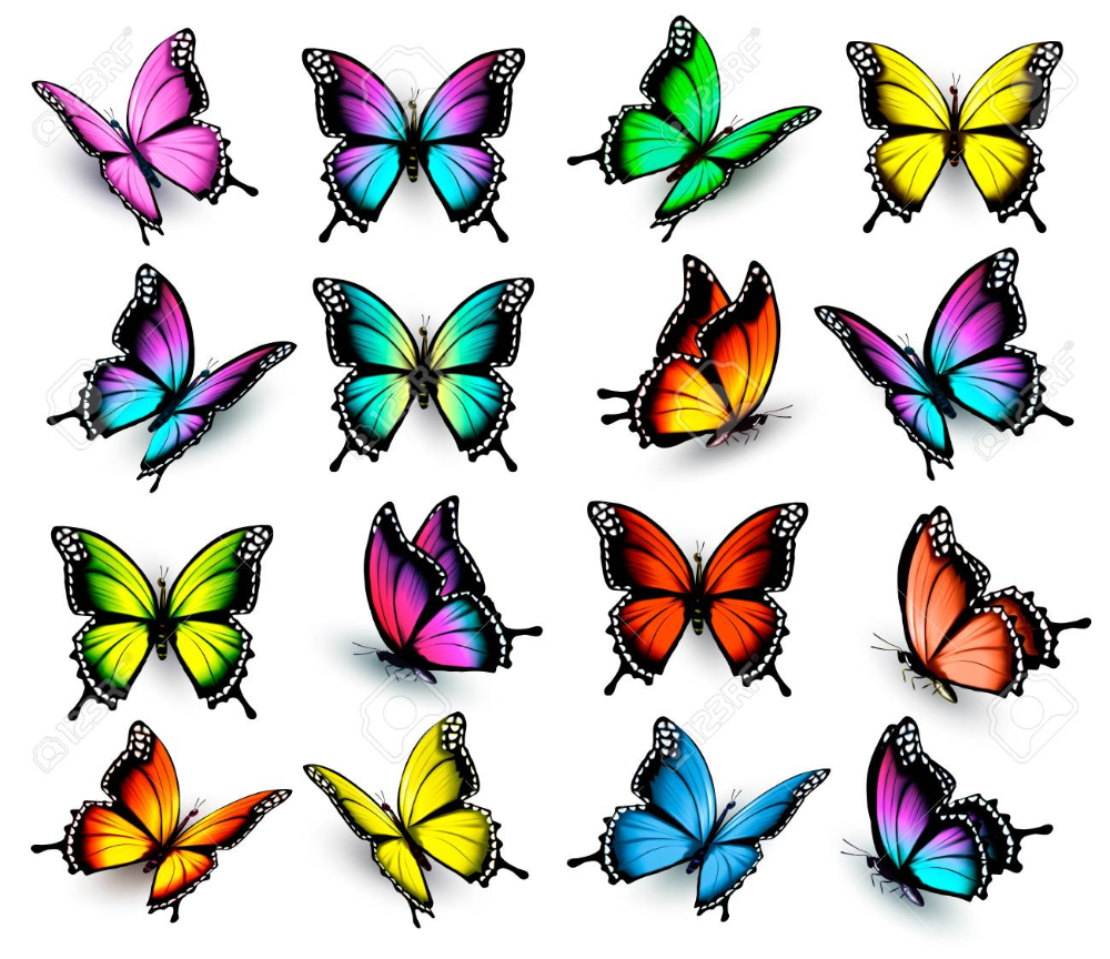 Schmetterlinge Zum Ausdrucken Bunt - KibrisPDR