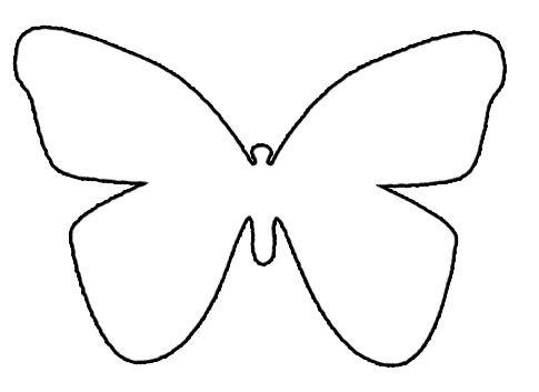 Detail Schmetterlinge Zum Ausdrucken Bunt Nomer 17