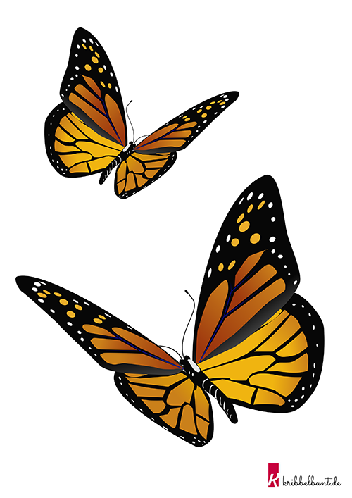 Detail Schmetterlinge Zum Ausdrucken Bunt Nomer 7
