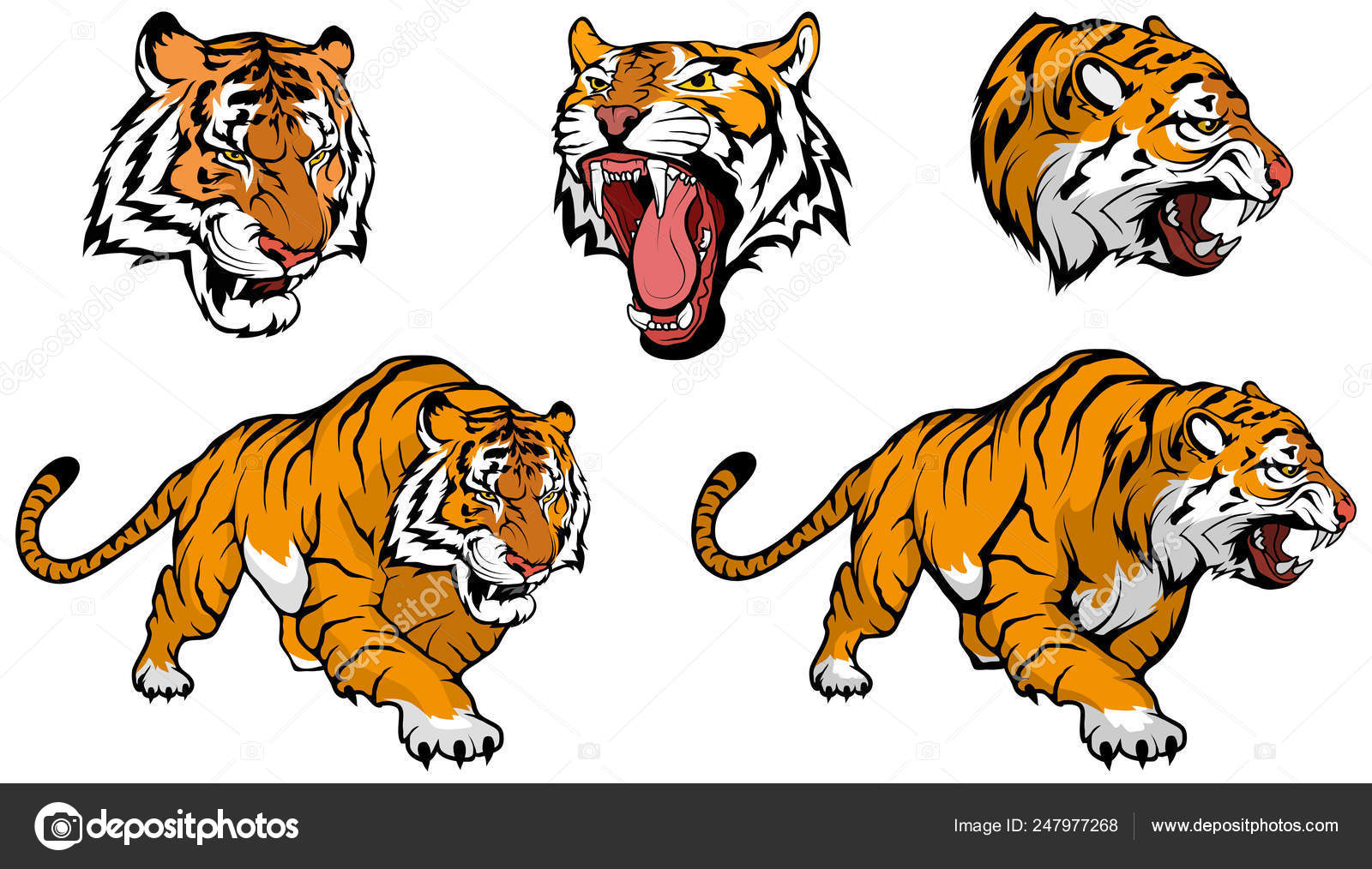 Detail Logo Harimau Vektor Nomer 24