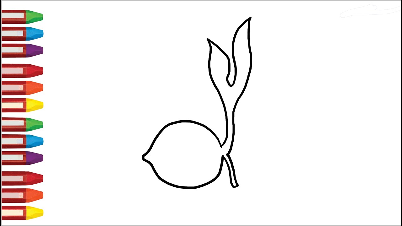 Detail Logo Tunas Kelapa Pramuka Nomer 37