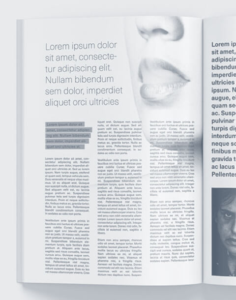 Detail Lorem Ipsum Template Nomer 11