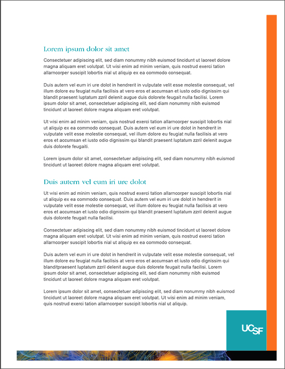 Detail Lorem Ipsum Template Nomer 43
