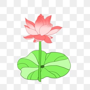 Detail Lotus Leaf Template Nomer 39