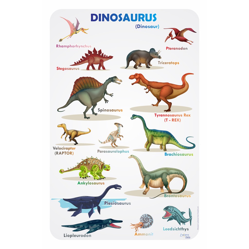 Detail Macam Dinosaurus Dan Namanya Nomer 10